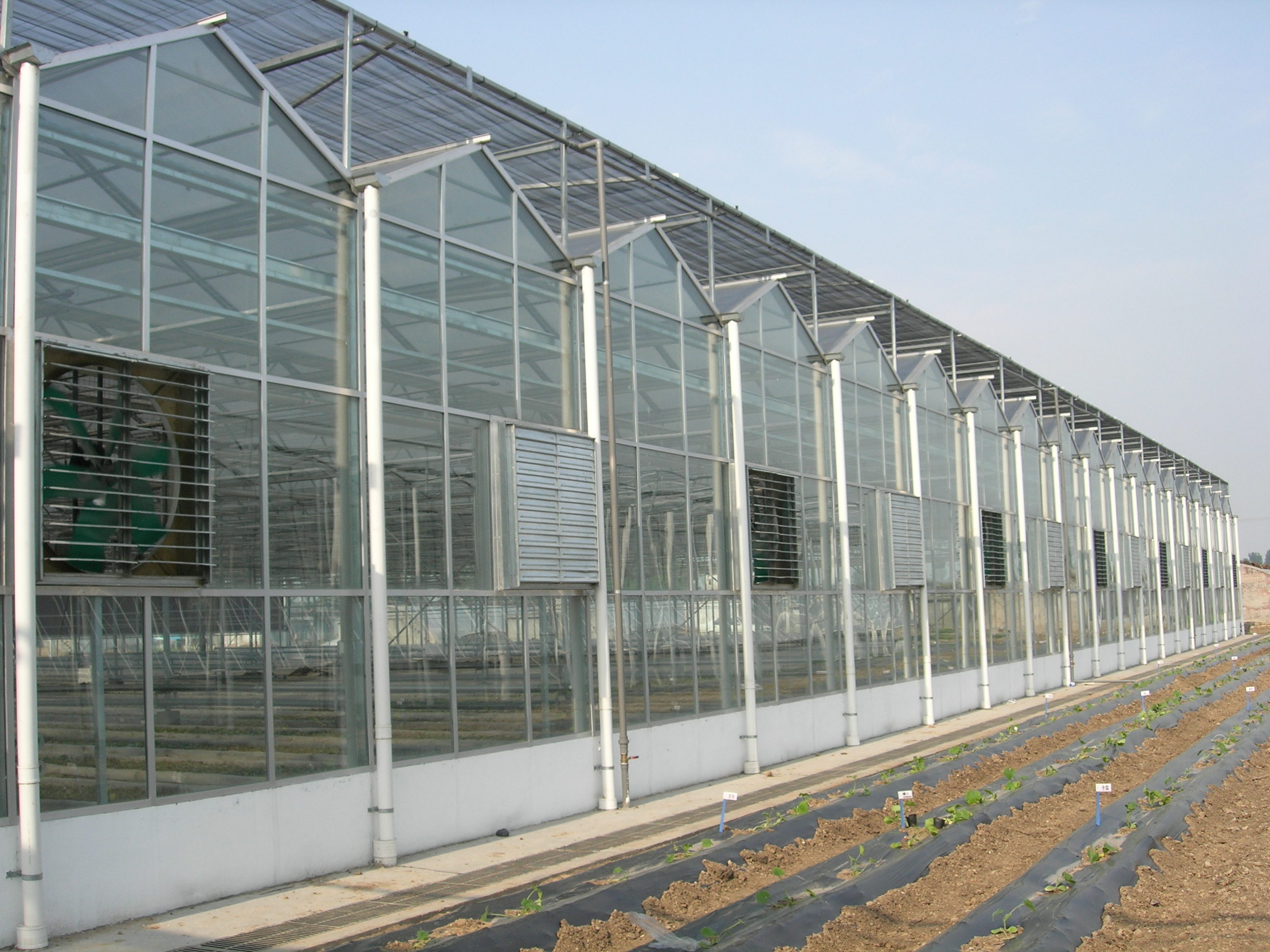 玻璃温室大棚建造中通风设备有什么功能呢